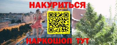 сатива Краснодар