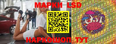 сатива Краснодар